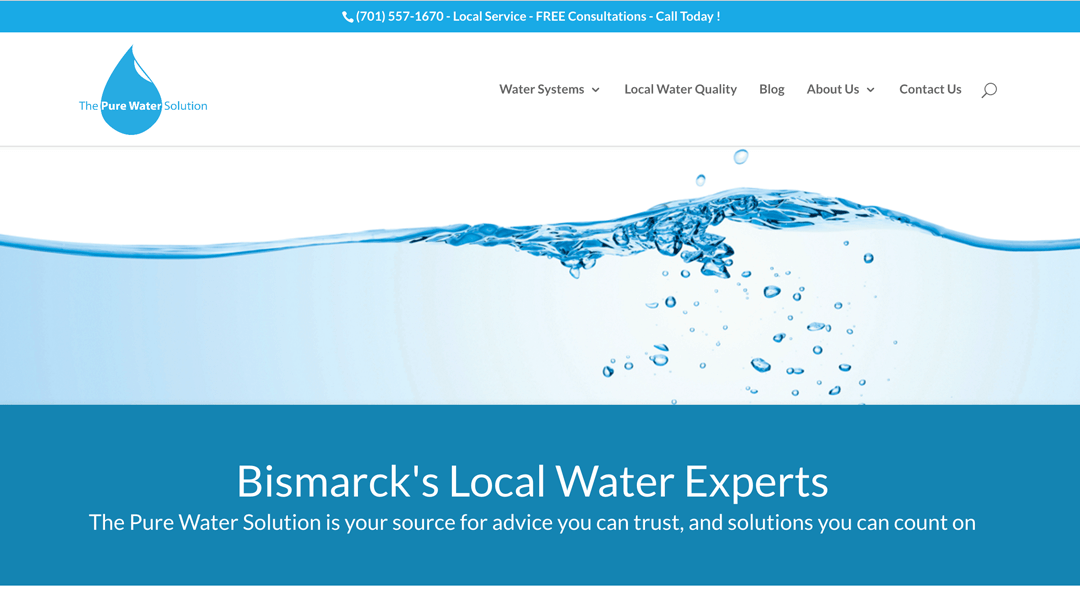 The Pure Water Solution website design and local seo